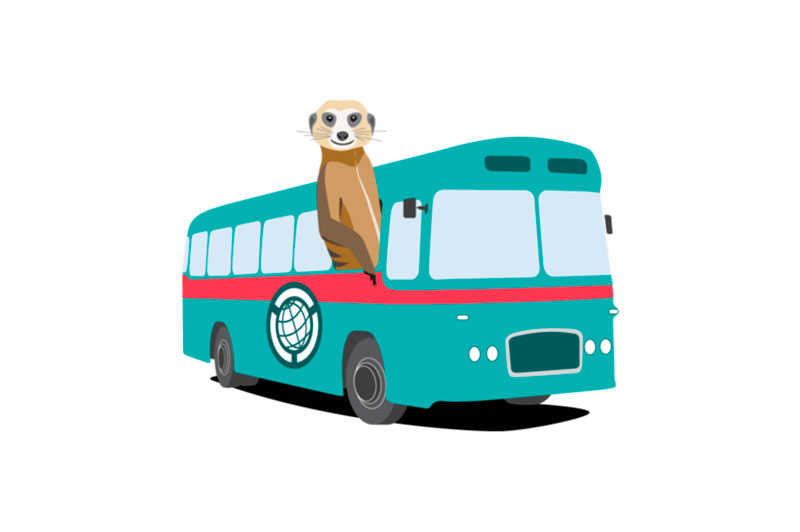 Cómo se puede viajar con un animal en autobús